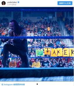 送葬者最新爆料,揭秘幕后真相与惊人内幕