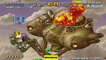 八卦大驴爆料视频播放,揭秘视频播放背后的秘密 第1张 八卦大驴爆料视频播放,揭秘视频播放背后的秘密 第1张