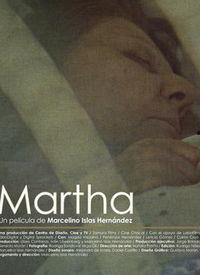 最新玛莎爆料视频播放,娱乐圈幕后真相大曝光！