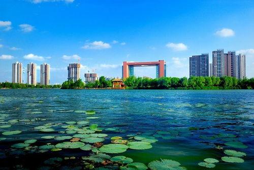 临沂公园爆料视频,揭秘公园里的惊人秘密 第2张 临沂公园爆料视频,揭秘公园里的惊人秘密 第2张